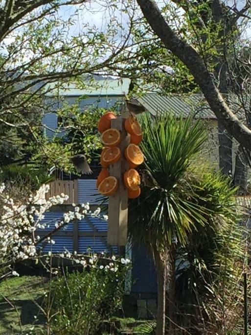 Appartamento Union Street Hideaway Waihi Esterno foto